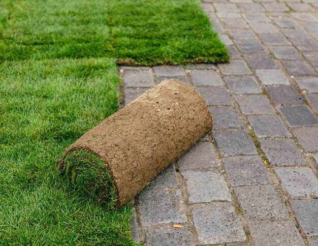 Выбор материала для дорожки: преимущества и недостатки