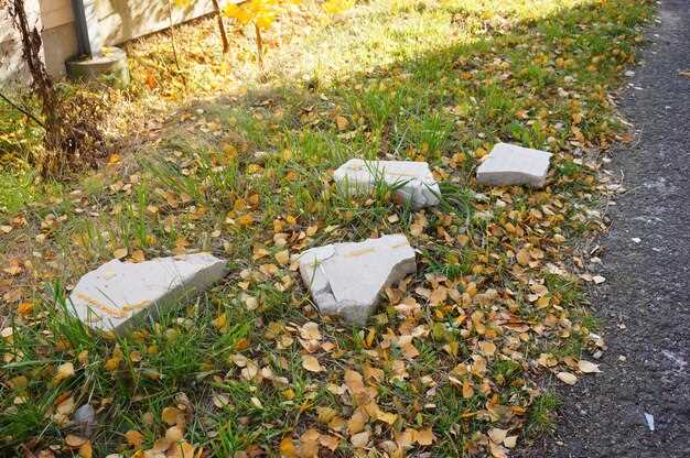 Уход за дорожкой: советы по поддержанию в хорошем состоянии