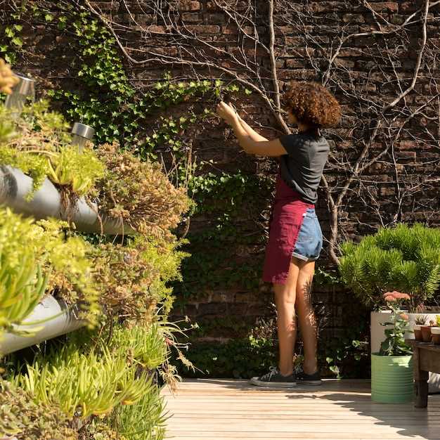 Выбор растений для каждой зоны: климатические и почвенные условия