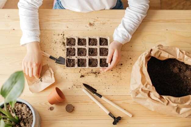 Удобрение и питание