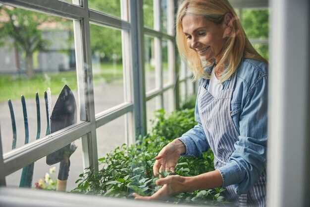 Климатические аспекты