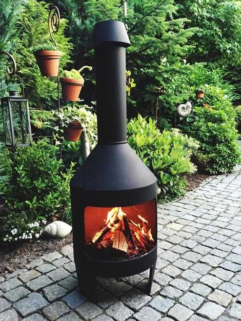 Чистка внутренних поверхностей важна для обеих конструкций. Удалять нагар и остатки продуктов сгорания нужно не реже одного раза за сезон. У кирпичных шашлычниц это можно делать с помощью металлической щетки, а у металлических - с помощью специального химического средства для чистки.