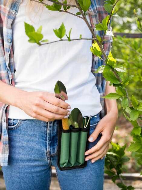 Очистка и обслуживание