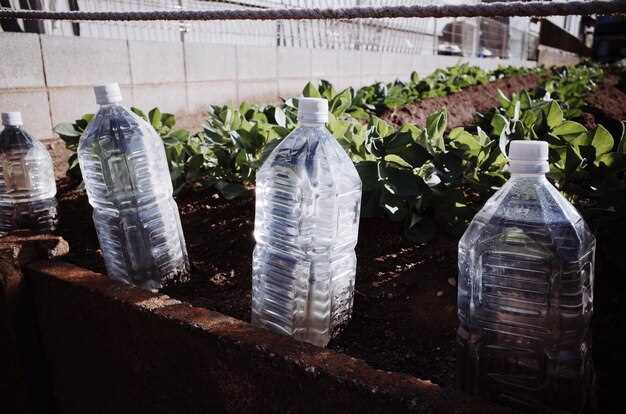 Дополнительные советы