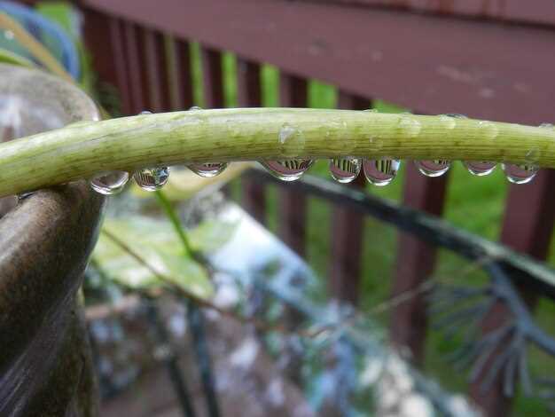 Устойчивость к воздействию ультрафиолета