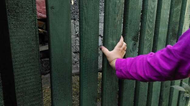 Металлические заборы: плюсы и минусы использования